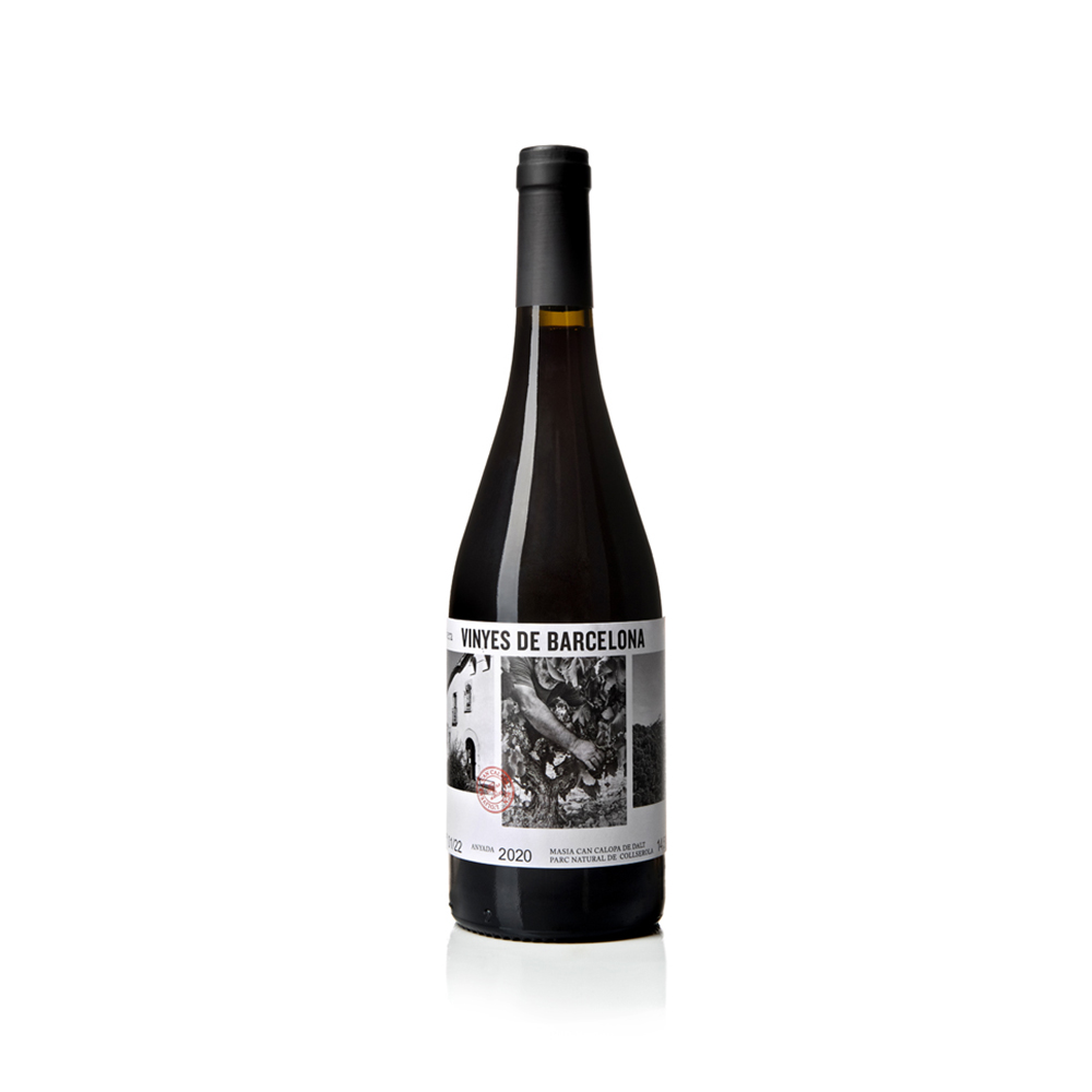 L'Olivera wine cellar · Vinyes de Barcelona